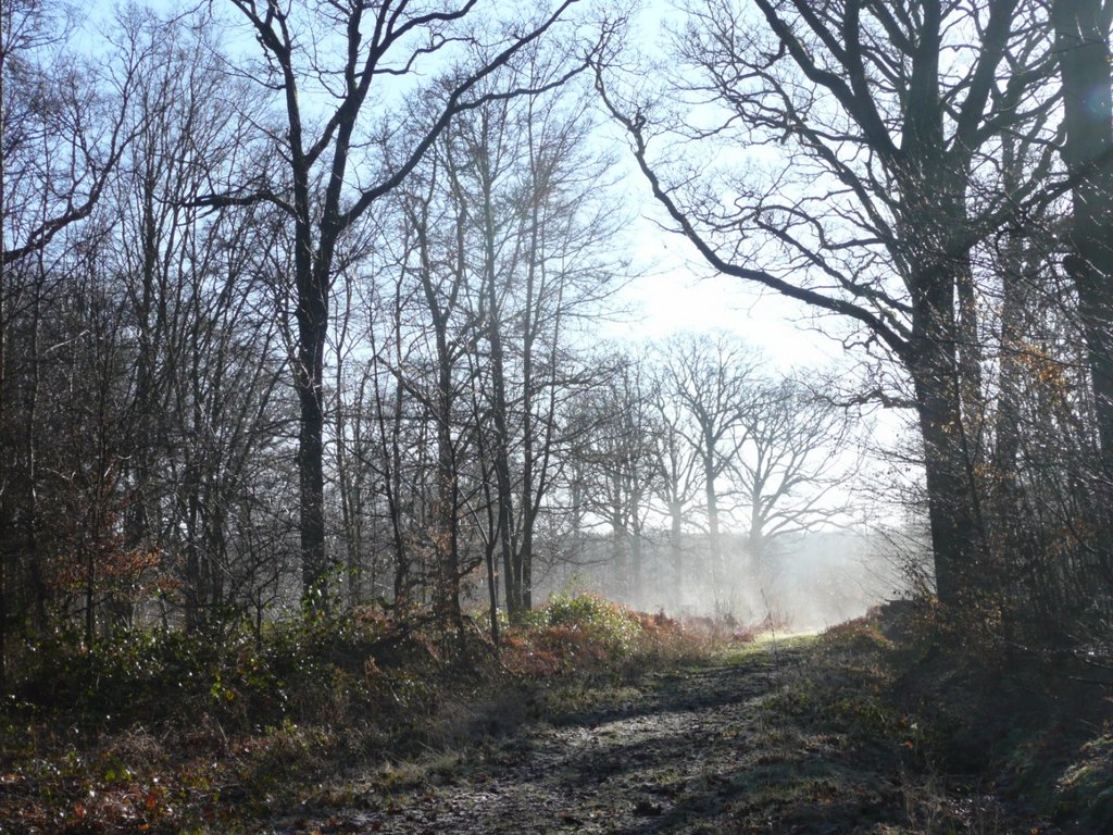 P1280439 [Résolution de l'écran]